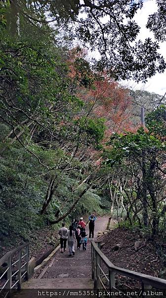 桃園市東眼山東滿步道--1121230