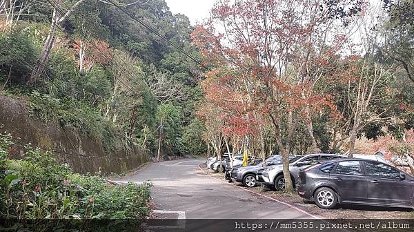 桃園市東眼山東滿步道--1121230