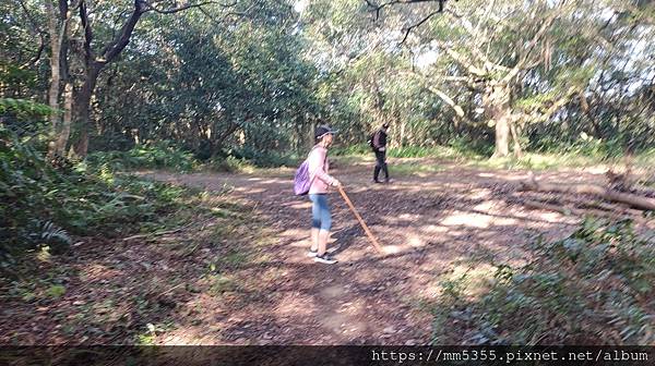 台北市士林、內湖小溪頭步道及大崙頭、尾山、翠山步道繞一圈--