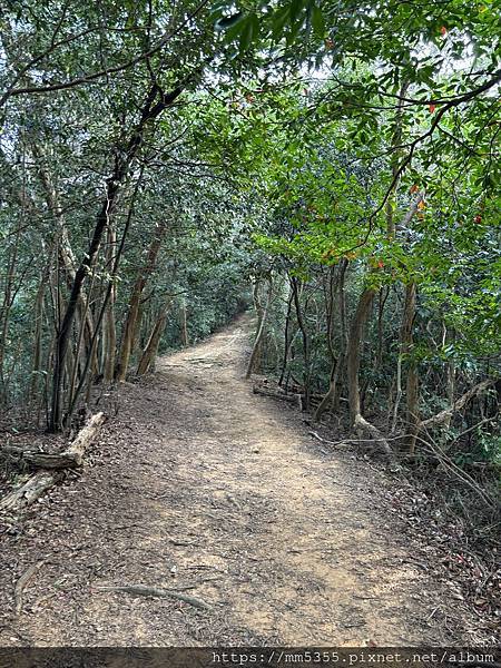 新竹縣關西鎮石光古道--渡南古道--1130120