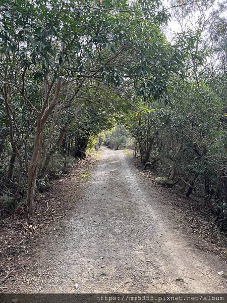 新竹縣關西鎮石光古道--渡南古道--1130120