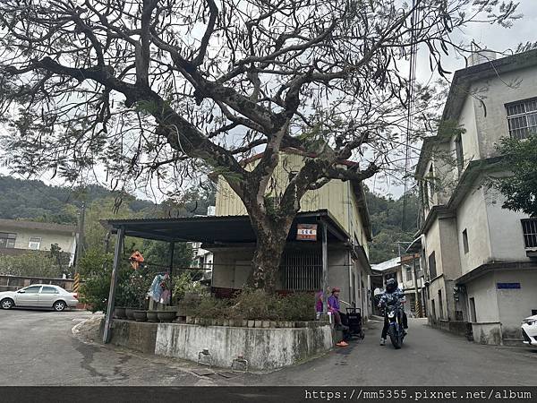 新竹縣關西鎮石光古道--渡南古道--1130120