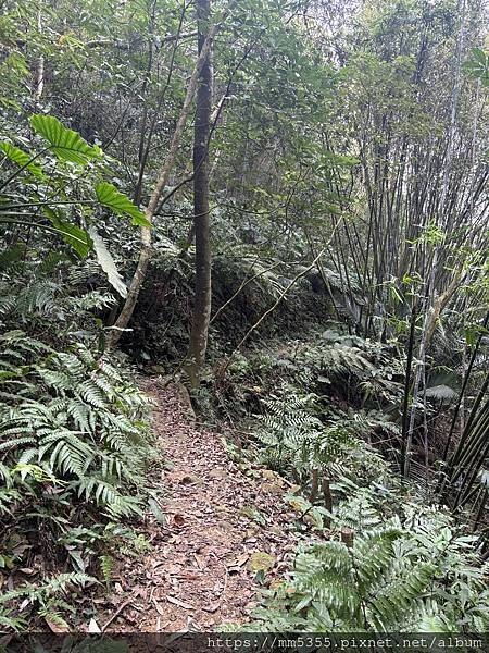 新竹縣關西鎮石光古道--渡南古道--1130120