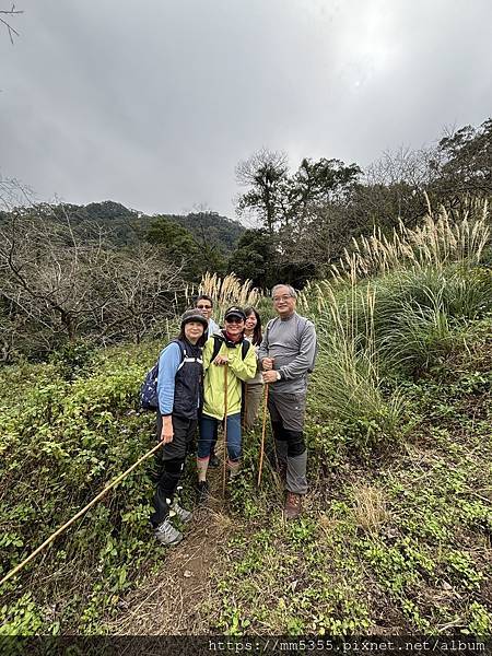 新竹縣峨眉藤坪古道上猿山、六寮古道、採桶柑--1130127