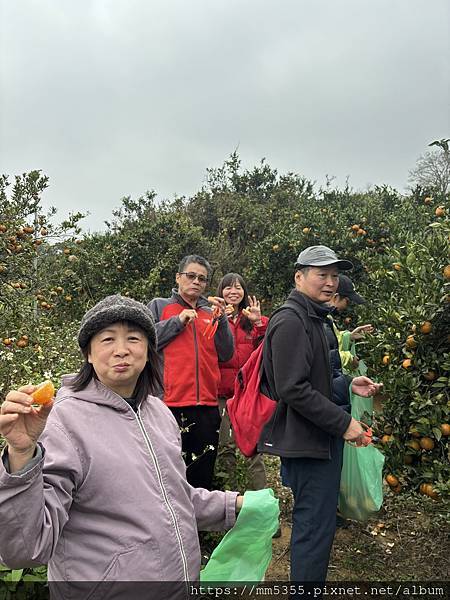 新竹縣峨眉藤坪古道上猿山、六寮古道、採桶柑--1130127