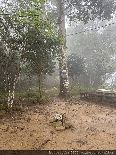 桃園大溪區大艽芎古道上溪洲山--1130224