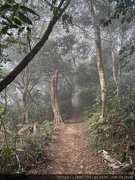 桃園大溪區大艽芎古道上溪洲山--1130224