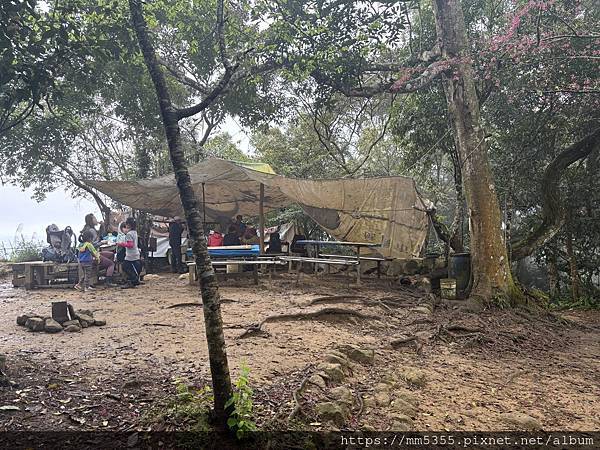 桃園大溪區大艽芎古道上溪洲山--1130224