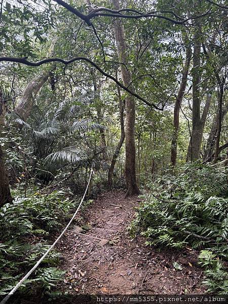 桃園大溪區大艽芎古道上溪洲山--1130224