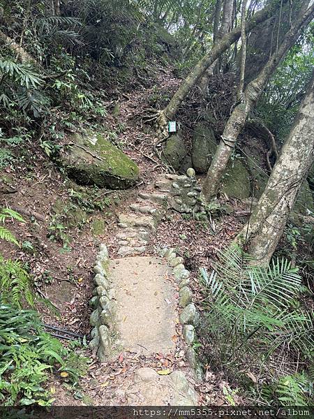 桃園大溪區大艽芎古道上溪洲山--1130224