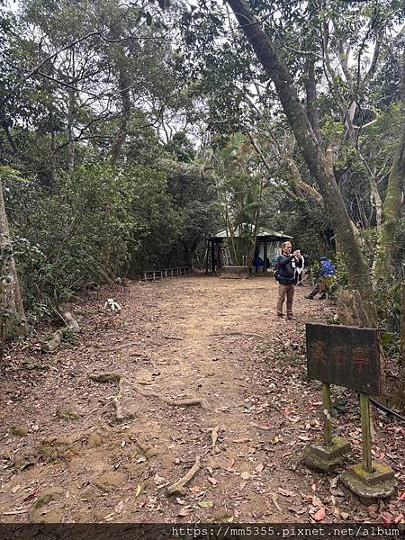 桃園大溪區大艽芎古道上溪洲山--1130224