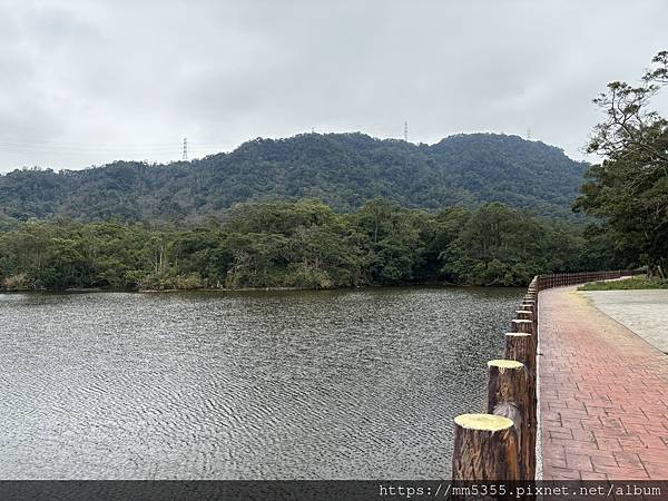 桃園大溪區大艽芎古道上溪洲山--1130224