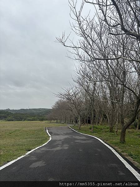 新竹市香山區青青草原步道繞一圈--113030202