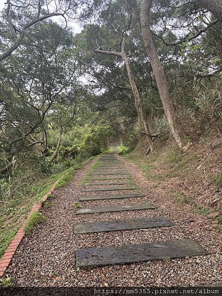 新竹市香山區青青草原步道繞一圈--113030202