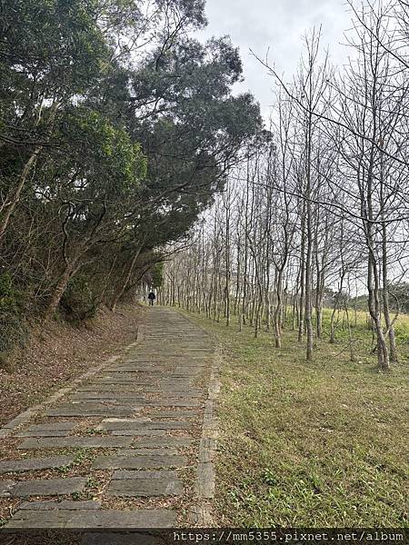 新竹市香山區青青草原步道繞一圈--113030202