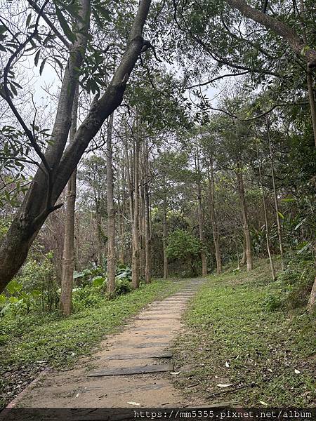 新竹市香山區青青草原步道繞一圈--113030202