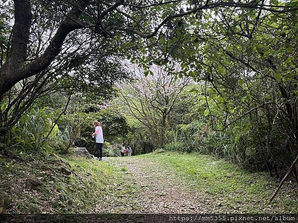 新北市瑞芳區石尾路步道、百二崁古道、貂山古道、黃金神社繞一圈