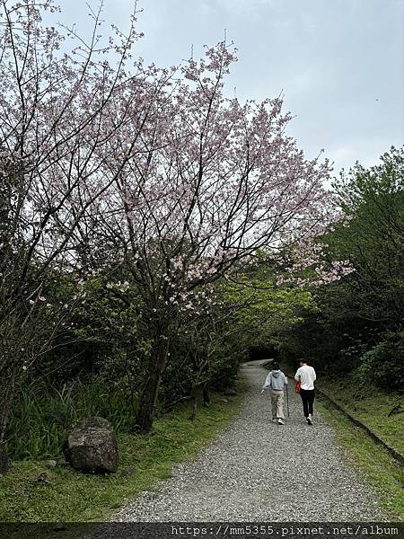 新北市瑞芳區石尾路步道、百二崁古道、貂山古道、黃金神社繞一圈