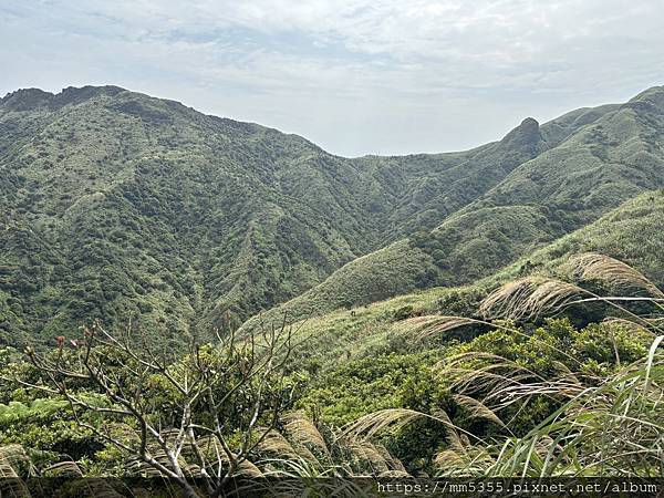 新北市瑞芳區石尾路步道、百二崁古道、貂山古道、黃金神社繞一圈