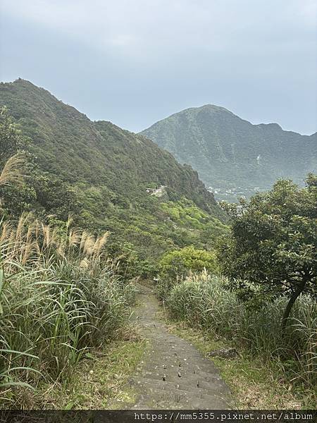 新北市瑞芳區石尾路步道、百二崁古道、貂山古道、黃金神社繞一圈