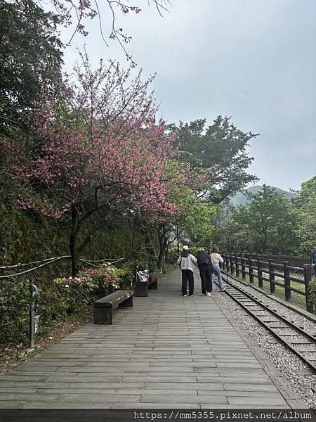 新北市瑞芳區石尾路步道、百二崁古道、貂山古道、黃金神社繞一圈