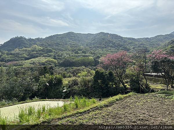 新北市石門區青山瀑布、尖山湖、老梅石槽--1130323