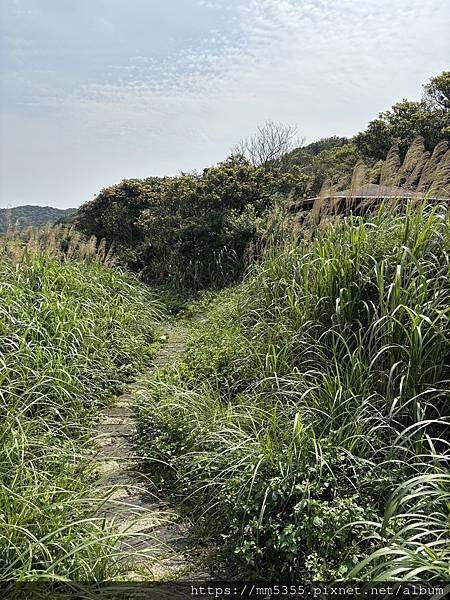 新北市石門區青山瀑布、尖山湖、老梅石槽--1130323