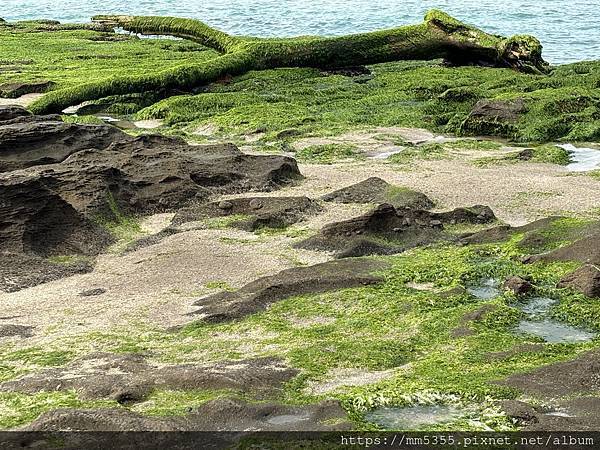 新北市石門區青山瀑布、尖山湖、老梅石槽--1130323