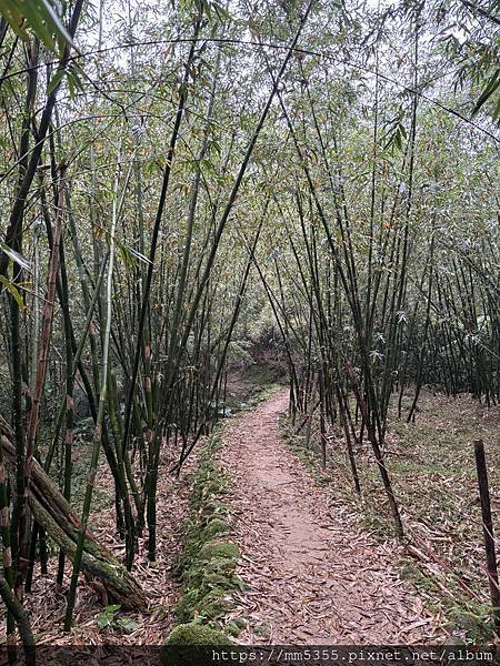 新北市瑞芳區三貂嶺(合谷、摩天、枇杷)步道，野人谷、大華車站