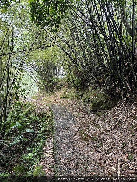 新北市瑞芳區三貂嶺(合谷、摩天、枇杷)步道，野人谷、大華車站