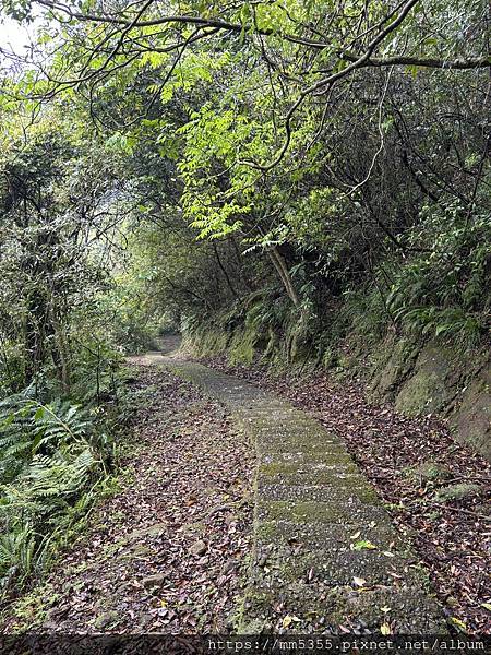 新北市瑞芳區三貂嶺(合谷、摩天、枇杷)步道，野人谷、大華車站