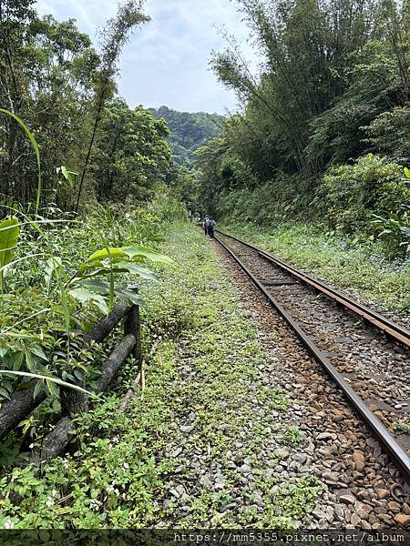 新北市瑞芳區三貂嶺(合谷、摩天、枇杷)步道，野人谷、大華車站