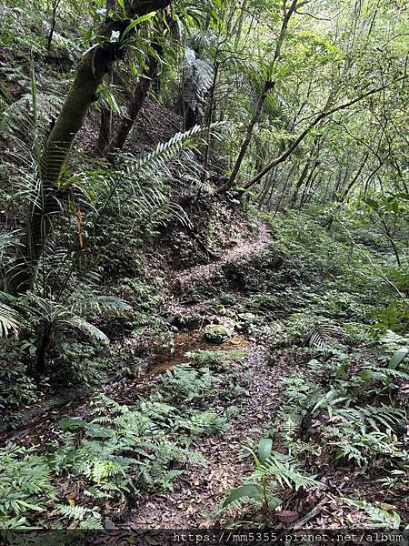 新北市平溪區茶販古道、東勢格古道、臭頭山、咸豐嶺古道繞一圈-