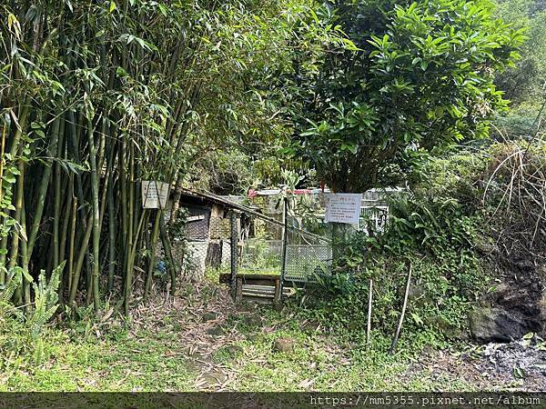 新北市平溪區茶販古道、東勢格古道、臭頭山、咸豐嶺古道繞一圈-