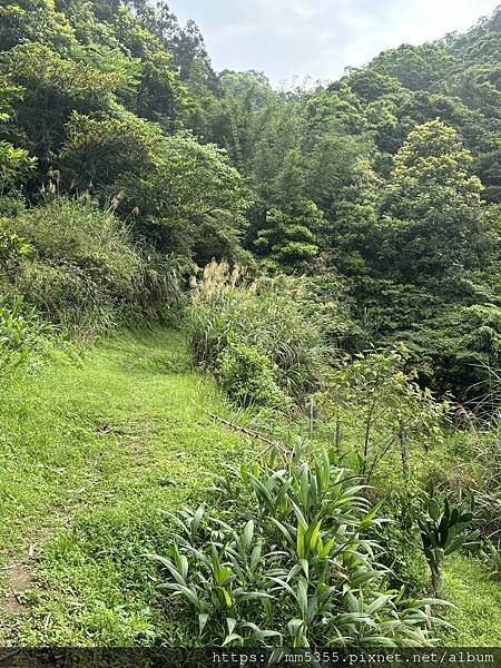 新北市平溪區茶販古道、東勢格古道、臭頭山、咸豐嶺古道繞一圈-