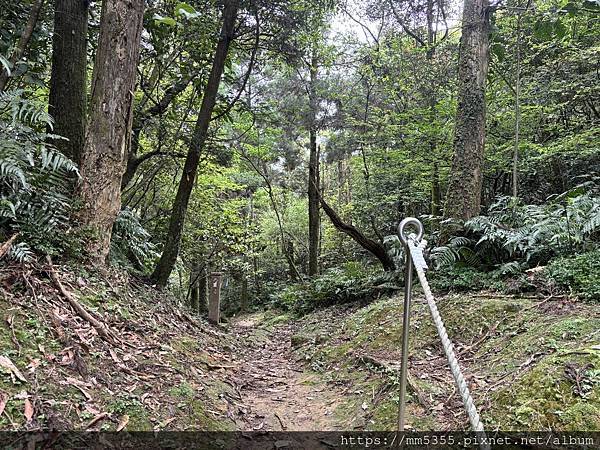 新北市平溪區茶販古道、東勢格古道、臭頭山、咸豐嶺古道繞一圈-