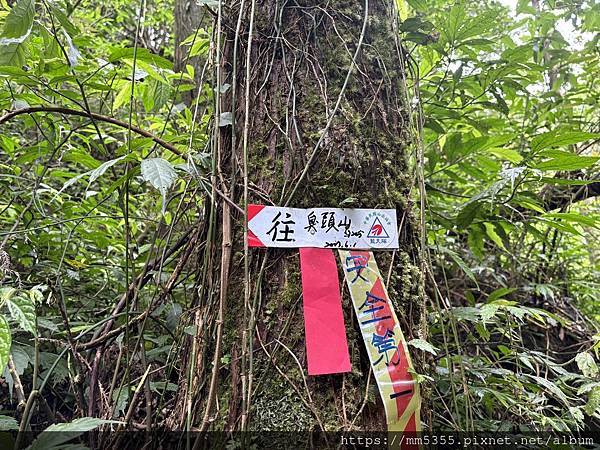 新北市平溪區茶販古道、東勢格古道、臭頭山、咸豐嶺古道繞一圈-