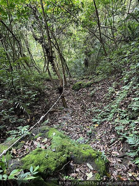 新北市平溪區茶販古道、東勢格古道、臭頭山、咸豐嶺古道繞一圈-