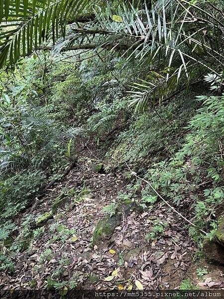 新北市平溪區茶販古道、東勢格古道、臭頭山、咸豐嶺古道繞一圈-