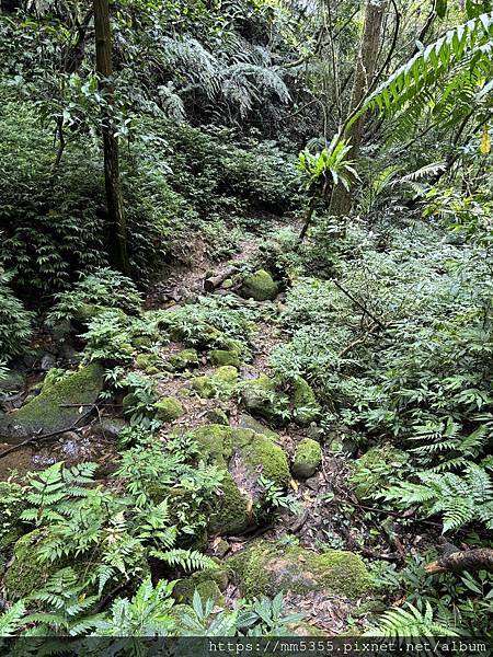 新北市平溪區茶販古道、東勢格古道、臭頭山、咸豐嶺古道繞一圈-