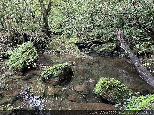 新北市平溪區茶販古道、東勢格古道、臭頭山、咸豐嶺古道繞一圈-