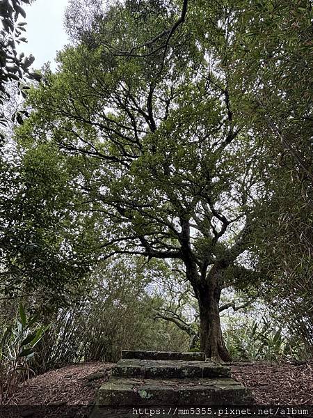 新竹縣新埔鎮九芎湖霽月、九福、觀南步道繞一圈--113042