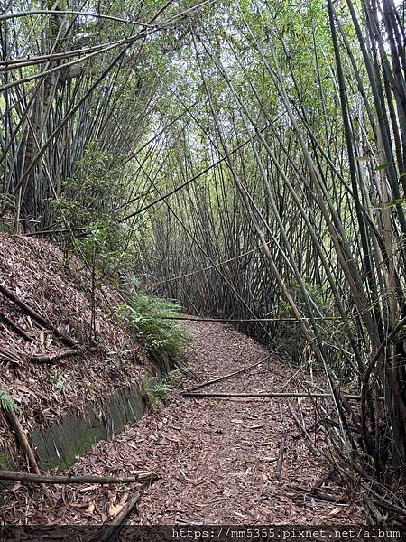 新竹縣新埔鎮九芎湖霽月、九福、觀南步道繞一圈--113042