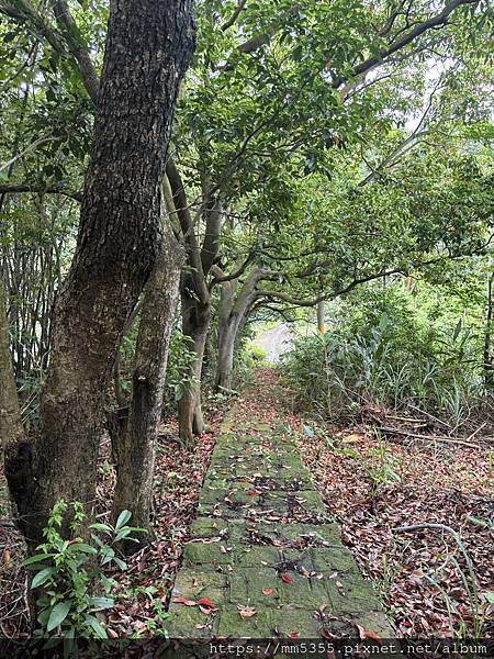 新竹縣新埔鎮九芎湖霽月、九福、觀南步道繞一圈--113042