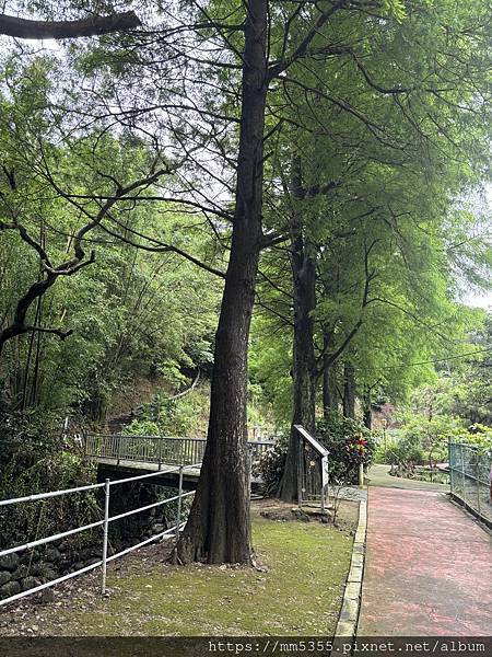 新竹縣新埔鎮九芎湖霽月、九福、觀南步道繞一圈--113042