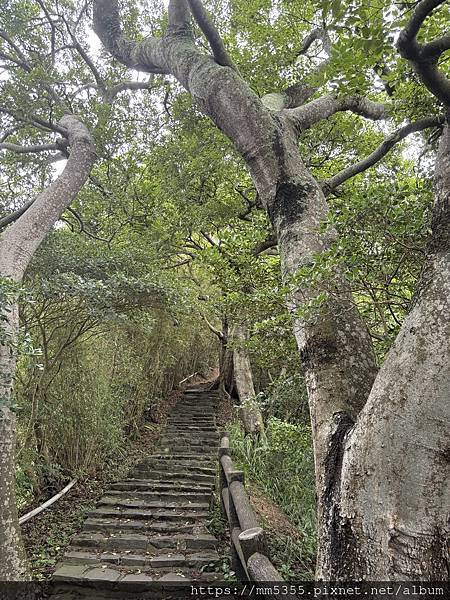 新竹縣新埔鎮九芎湖霽月、九福、觀南步道繞一圈--113042