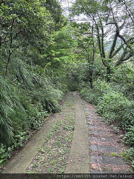 新竹縣新埔鎮九芎湖霽月、九福、觀南步道繞一圈--113042