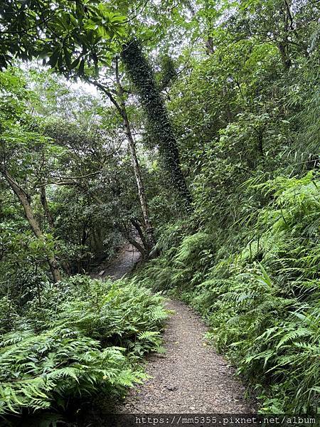 新竹縣新埔鎮九芎湖霽月、九福、觀南步道繞一圈--113042