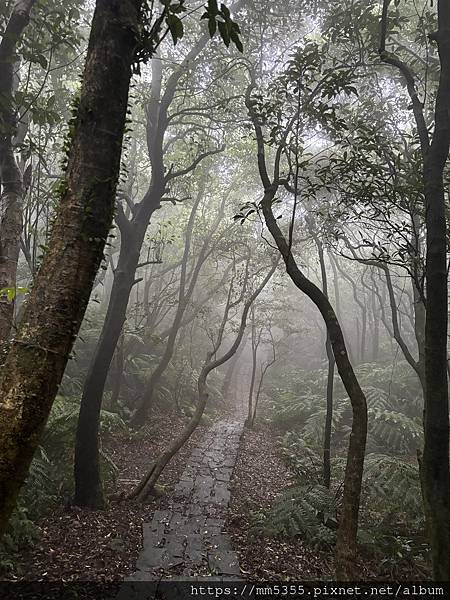 台北市陽明山涓絲瀑布步道、冷水坑、菁山自然中心繞一圈--11