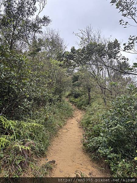 新竹縣芎林鄉石壁潭山、飛鳳山-1140308
